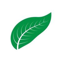 logo nature feuille vecteur