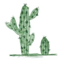 cactus aquarelle isolé sur fond blanc. vecteur