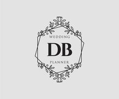 collection de logos de monogramme de mariage lettre initiales db, modèles minimalistes et floraux modernes dessinés à la main pour cartes d'invitation, réservez la date, identité élégante pour restaurant, boutique, café en image vectorielle vecteur