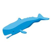 icône de baleine bleue de l'océan, style isométrique vecteur