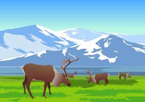 Paysage de montagne avec caribou