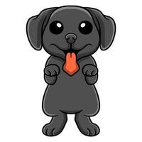 dessin animé mignon chien labrador noir posant vecteur