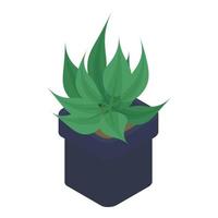 icône de pot de plante d'intérieur, style isométrique vecteur