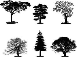 silhouettes d'arbres - érable rouge, érable à sucre, chêne, peuplier, chêne vert, bouleau vecteur