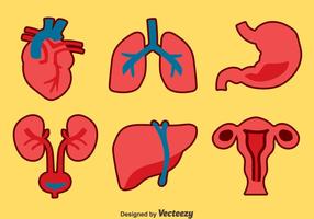 Ensembles de vecteurs de collections d'organes humains vecteur