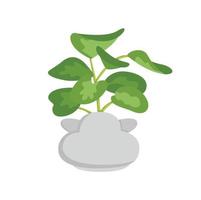 maison plante pothos illustration vecteur clipart