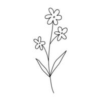 fleur de doodle mignon isolé sur fond blanc. illustration vectorielle dessinée à la main. parfait pour les cartes, logo, décorations, divers designs. clipart botanique. vecteur