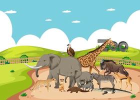 groupe d & # 39; animaux sauvages africains dans la scène du zoo vecteur
