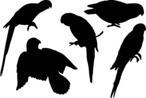 vecteur de silhouette d'oiseau volant pour les sites Web, illustrations liées aux graphiques