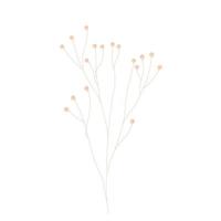 style minimal. fleurs sèches. carte d'invitation minimale. illustration de stock de vecteur. isolé sur fond blanc. vecteur