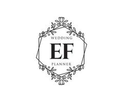 collection de logos de monogramme de mariage lettre initiales ef, modèles minimalistes et floraux modernes dessinés à la main pour cartes d'invitation, réservez la date, identité élégante pour restaurant, boutique, café en image vectorielle vecteur