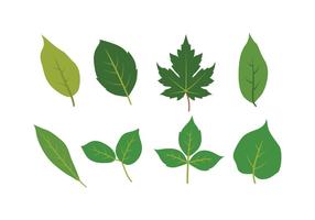 Ensemble d'icônes de feuilles vecteur