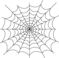 image de la toile d'araignée. le filet est un piège à insectes. toile d'araignée, symbole d'halloween. illustration vectorielle isolée sur fond blanc vecteur