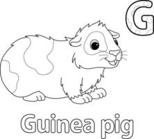 cochon d'inde alphabet abc isolé coloriage g vecteur