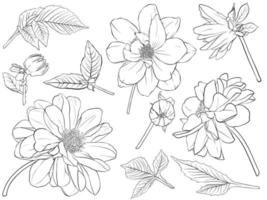 illustration vectorielle - ensemble floral fleur, feuilles et branches. éléments de conception faits à la main dans le style de croquis. parfait pour les invitations, cartes de vœux, tatouages, impressions. vecteur