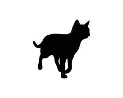 vecteur de modèle de silhouette de chat