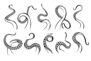 tatouage de tentacules de pieuvre, de kraken ou de monstre calmar vecteur