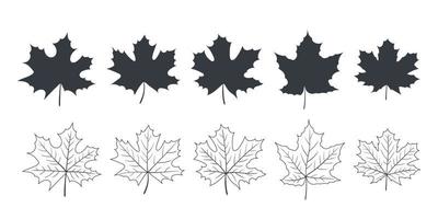 icône de feuilles. feuilles d'érable. feuilles d'arbres de différents types en automne et en été. illustration vectorielle vecteur