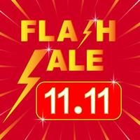 11.11 modèle d'arrière-plan de marketing des médias sociaux de vente flash. affiche ou bannière d'achat de vente flash avec icône flash et texte 11.11 sur fond rouge. offre spéciale campagne ou promotion de vente flash. vecteur