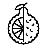 icône de bergamote aromatique, style de contour vecteur