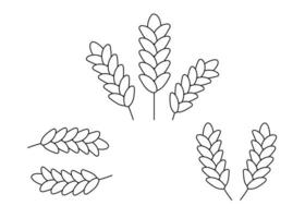 oreille de grain de blé, ensemble de la nature, icône de la ligne. croquis linéaire de blé, d'orge, d'oreille d'avoine et de céréales. contour de l'usine de spica pour l'agriculture, les produits céréaliers, la boulangerie. vecteur