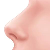 vue de profil nez humain sur le visage illustration réaliste pour la médecine, isolé sur le vecteur de conception de fond blanc. exemple de rhinoplastie. partie du corps pour la biologie.