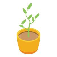 icône de pot de plante d'arbre fruitier, style isométrique vecteur