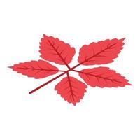 icône de feuille d'automne de saison, style isométrique vecteur