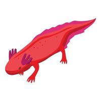 Icône animal axolotl, style isométrique vecteur
