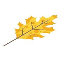 icône de feuille d'automne jaune, style isométrique vecteur