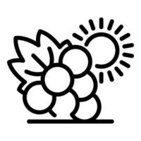 icône de raisins et de soleil, style de contour vecteur