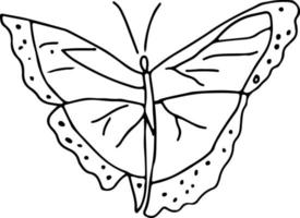 dernière conception de papillon dessiné à la main vecteur