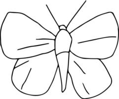 dernière conception de papillon dessiné à la main vecteur