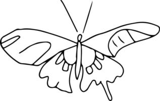 dernière conception de papillon dessiné à la main vecteur