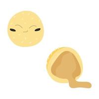 jolie boule de sésame frit avec la couleur du visage. couper la boule de sésame frite. illustration vectorielle stock isolée sur fond blanc dans un style plat vecteur