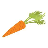 icône de carotte naturelle, style isométrique vecteur