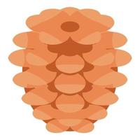 icône de cône de pin conifère, style isométrique vecteur