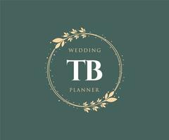 tb initiales lettre mariage monogramme logos collection, modèles minimalistes et floraux modernes dessinés à la main pour cartes d'invitation, réservez la date, identité élégante pour restaurant, boutique, café en image vectorielle vecteur