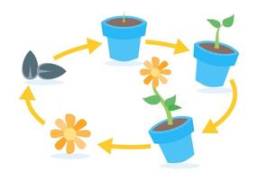 Free Outsecycle Lifecycle Vectors