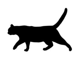 silhouette abstraite de marche de chat noir. icône, illustration vectorielle de logo. vecteur