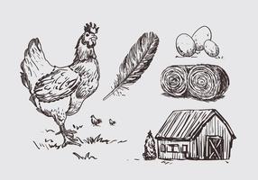 Illustration d'illustration de poulet vecteur