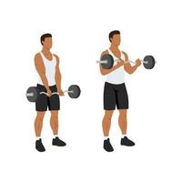 homme faisant ez barbell curl. illustration vectorielle plane isolée sur différentes couches. caractère d'entraînement vecteur