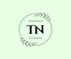 tn initiales lettre mariage monogramme logos collection, modèles minimalistes et floraux modernes dessinés à la main pour cartes d'invitation, réservez la date, identité élégante pour restaurant, boutique, café en image vectorielle vecteur