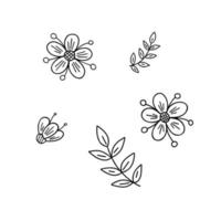 fleurs de fantaisie, illustration de contour de concept minimaliste vecteur simple feuilles, ornement floral dessiné à la main fine ligne pour les invitations, cartes de voeux, bannière, conception de livret