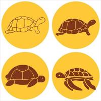 collection de tortue vecteur