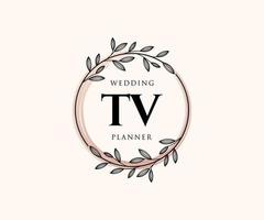 collection de logos de monogramme de mariage lettre initiales tv, modèles minimalistes et floraux modernes dessinés à la main pour cartes d'invitation, réservez la date, identité élégante pour restaurant, boutique, café en image vectorielle vecteur