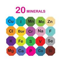 microéléments minéraux et macroéléments, utiles pour la santé humaine. fondamentaux d'une saine alimentation et d'un mode de vie sain. vecteur