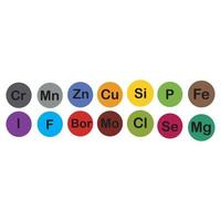 microéléments minéraux et macroéléments, utiles pour la santé humaine. fondamentaux d'une saine alimentation et d'un mode de vie sain. vecteur