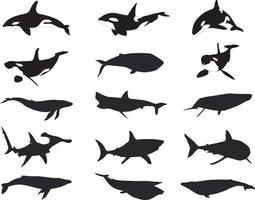 silhouette de requin et de baleine vecteur
