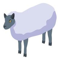 icône de moutons de ferme, style isométrique vecteur